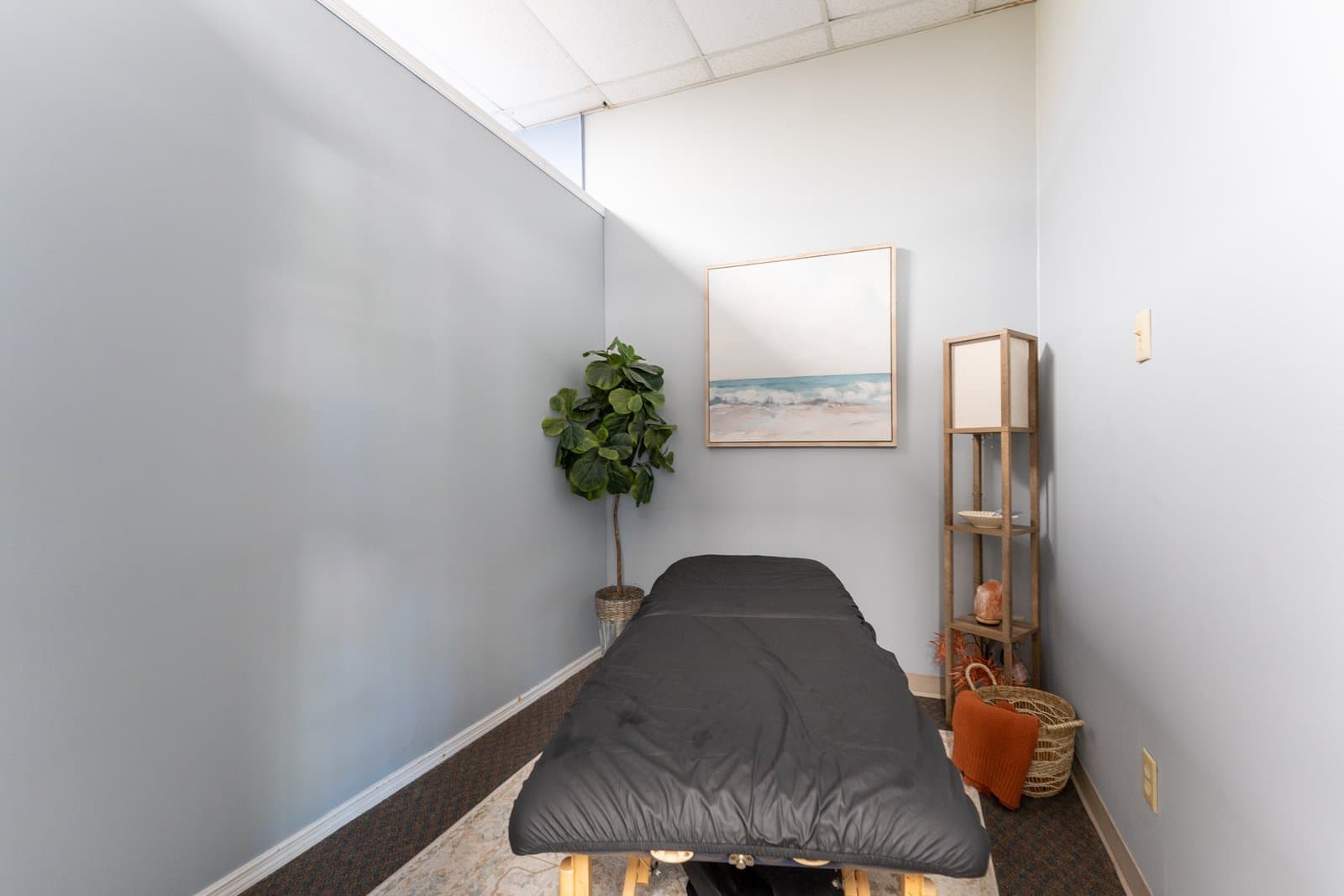 Massage therapy in Brandon, FL
