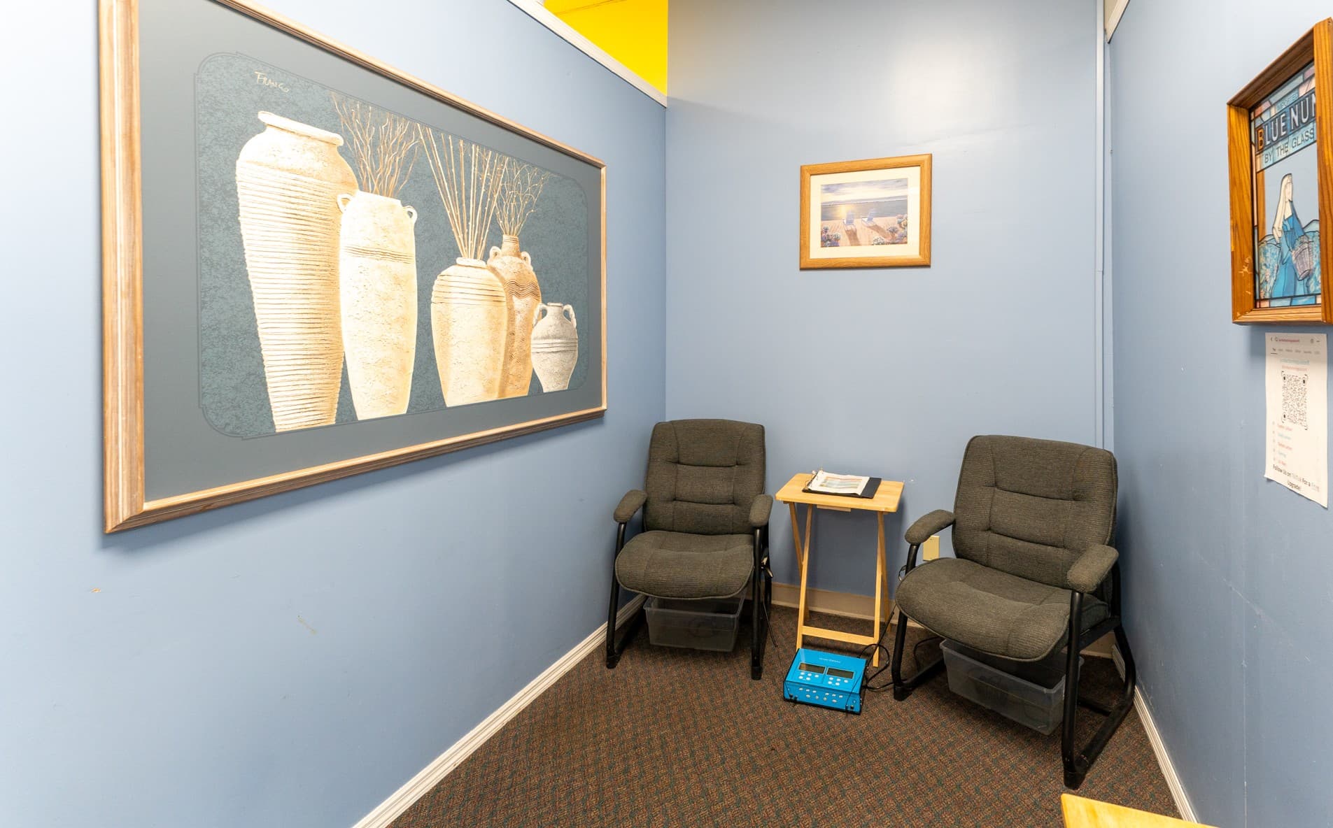 Ionic foot bath detox in Brandon, FL